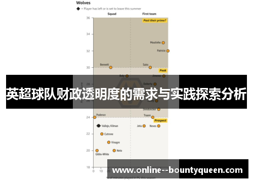 英超球队财政透明度的需求与实践探索分析 英超球队财政透明度的需求与实践探索分析